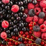 Frutti rossi: benefici essenziali per mente, pelle e sistema immunitario in equilibrio naturale