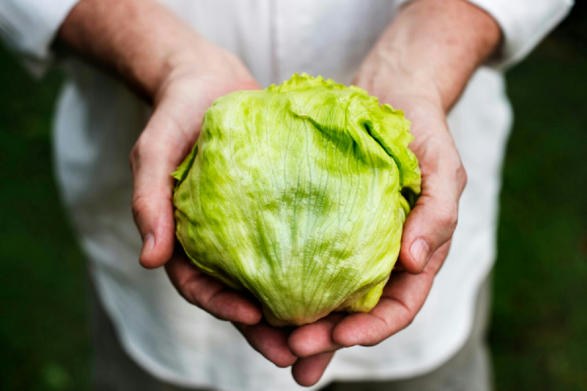 Non immagini cosa succede quando unisci verza e patate: questa vellutata ti rapisce!